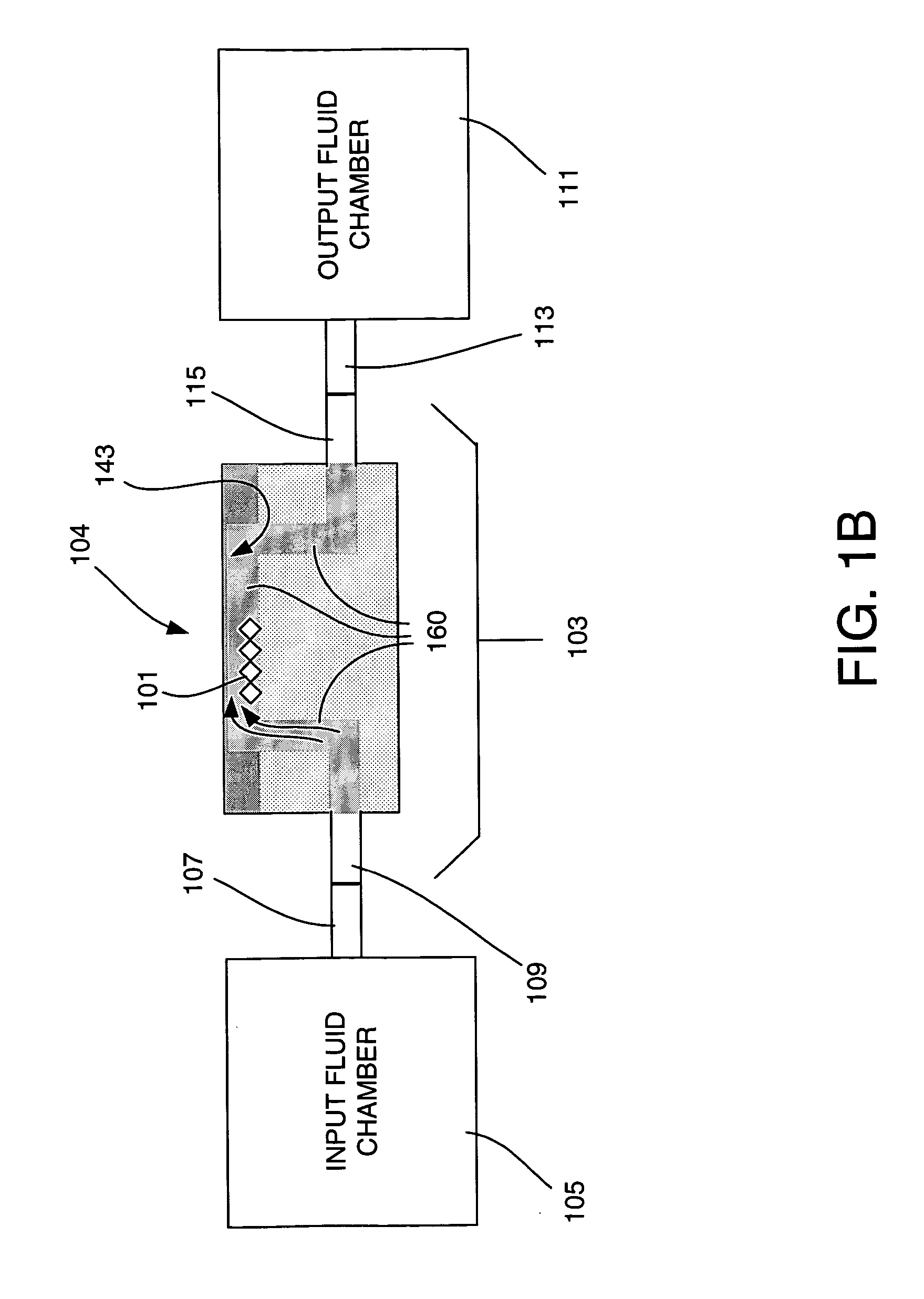 Method and apparatus for detection of analyte using a flexural plate wave device and magnetic particles