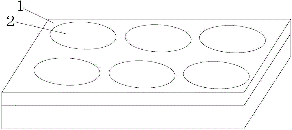 Six-hole plate for cell culture