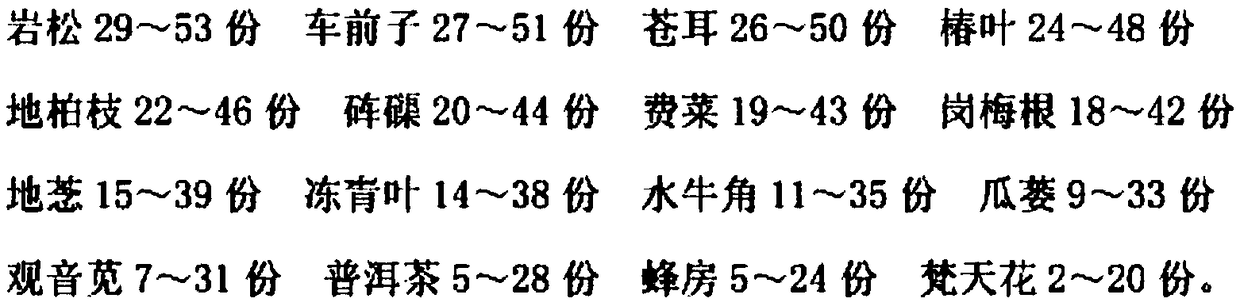 Traditional Chinese medicine preparation for treating viral meningitis and preparation method thereof