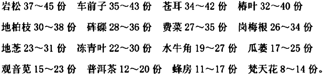 Traditional Chinese medicine preparation for treating viral meningitis and preparation method thereof