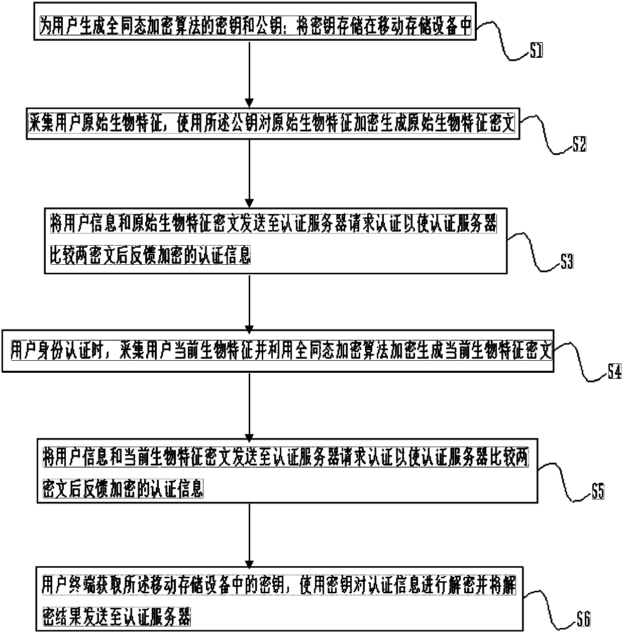 Authentication method based on homomorphic encryption, user equipment and authentication server