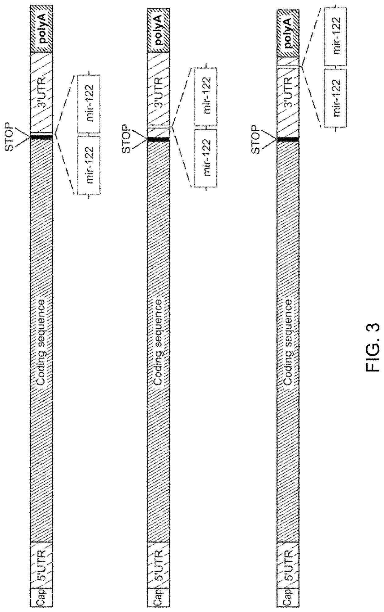 Compositions and processes for targeted delivery, expression and modulation of coding ribonucleic acids in tissue