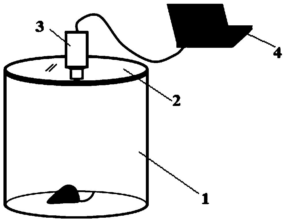 Calculation method of animal transfer behavior and application thereof