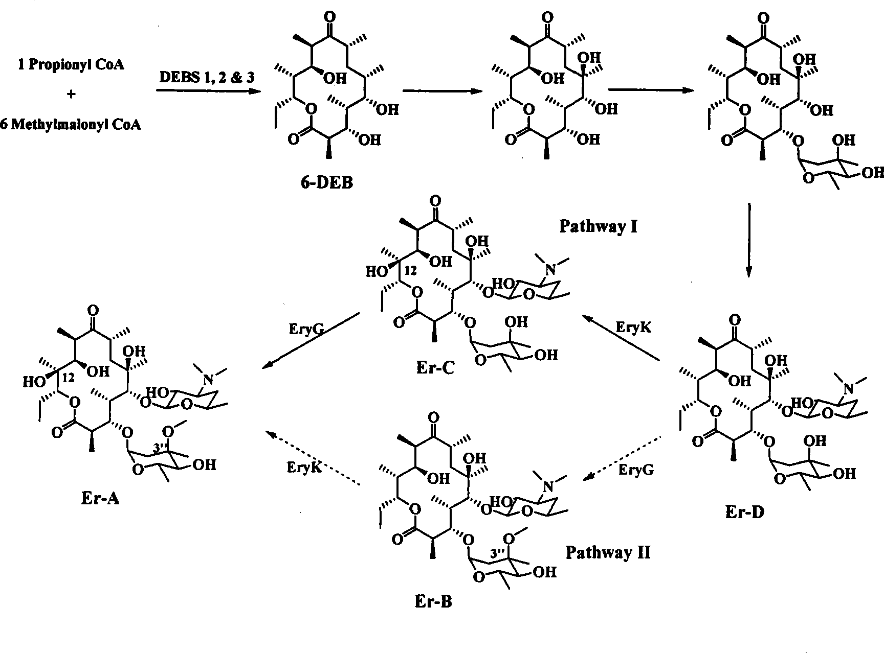 Bacterial for optimizing abomacetin fermentation component, construction method and use