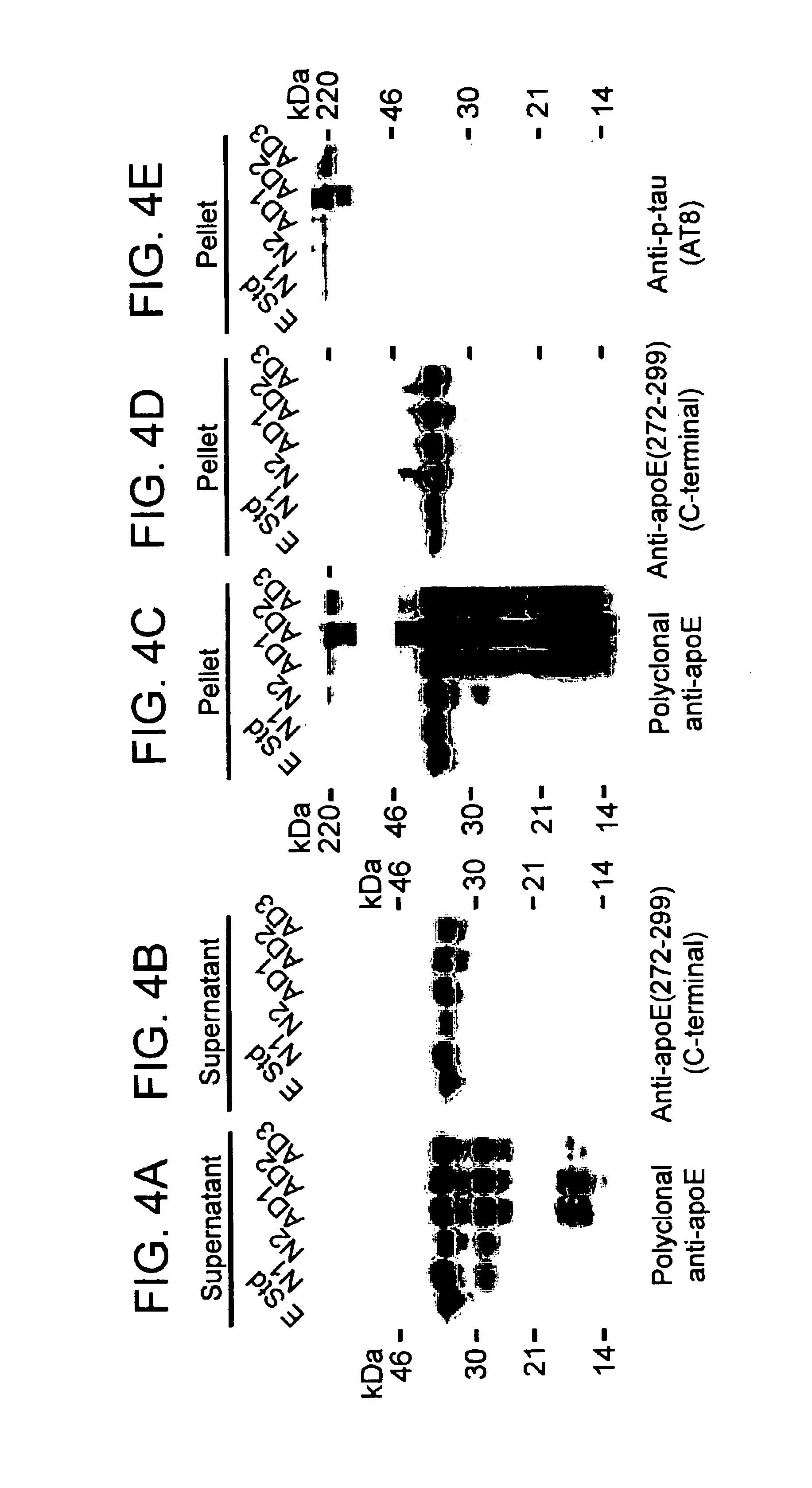 Methods of treating disorders related to apoE