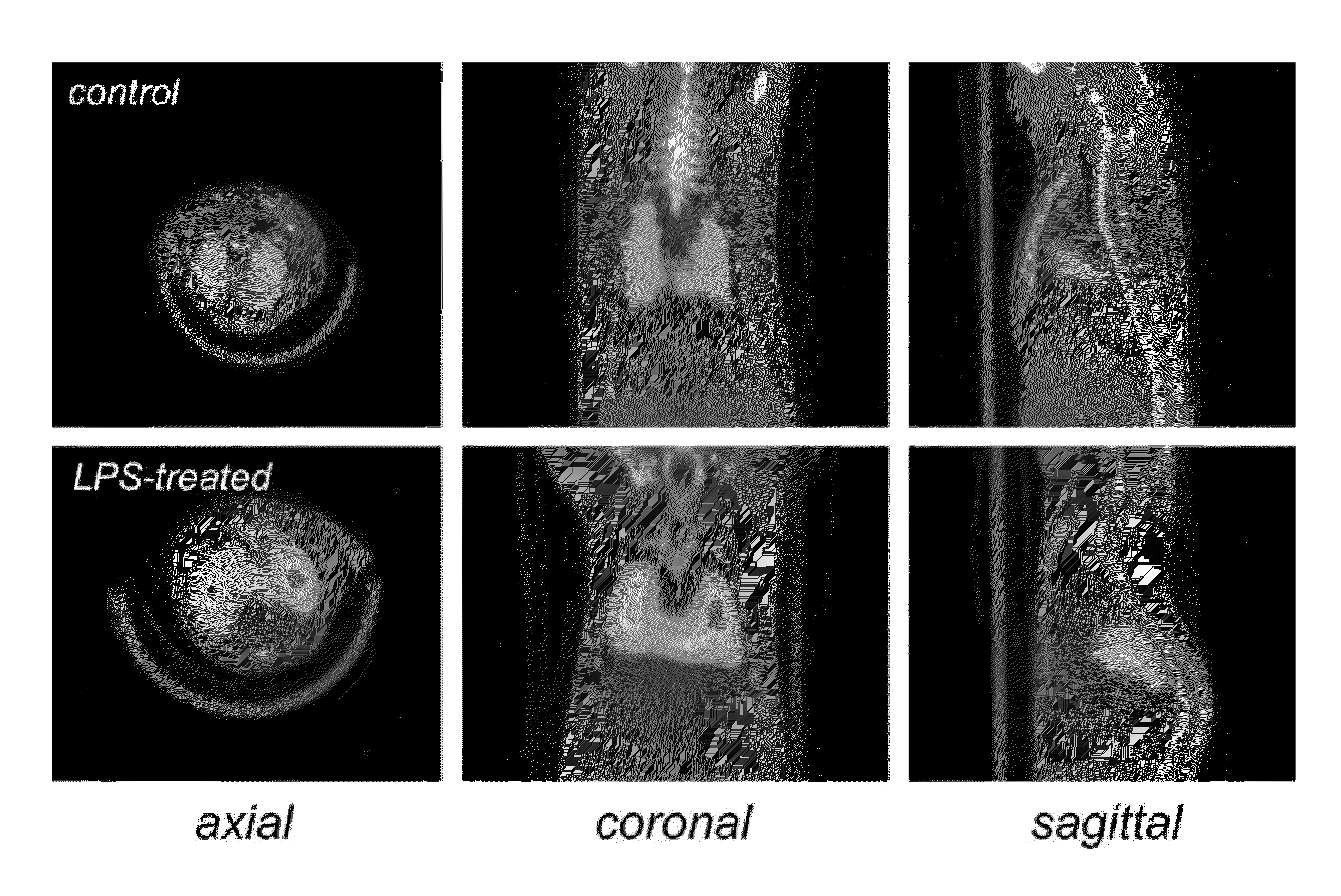 TSPO-targeting compounds and uses thereof