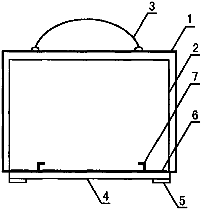 Carrying box device with display function