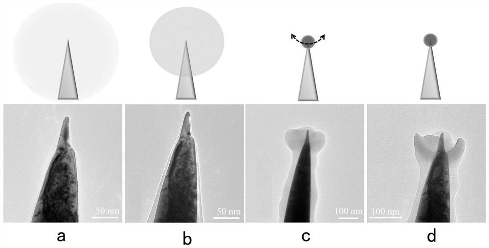 Controllable growth method of electron beam induced carbon-based nanostructure based on needle tip enhancement