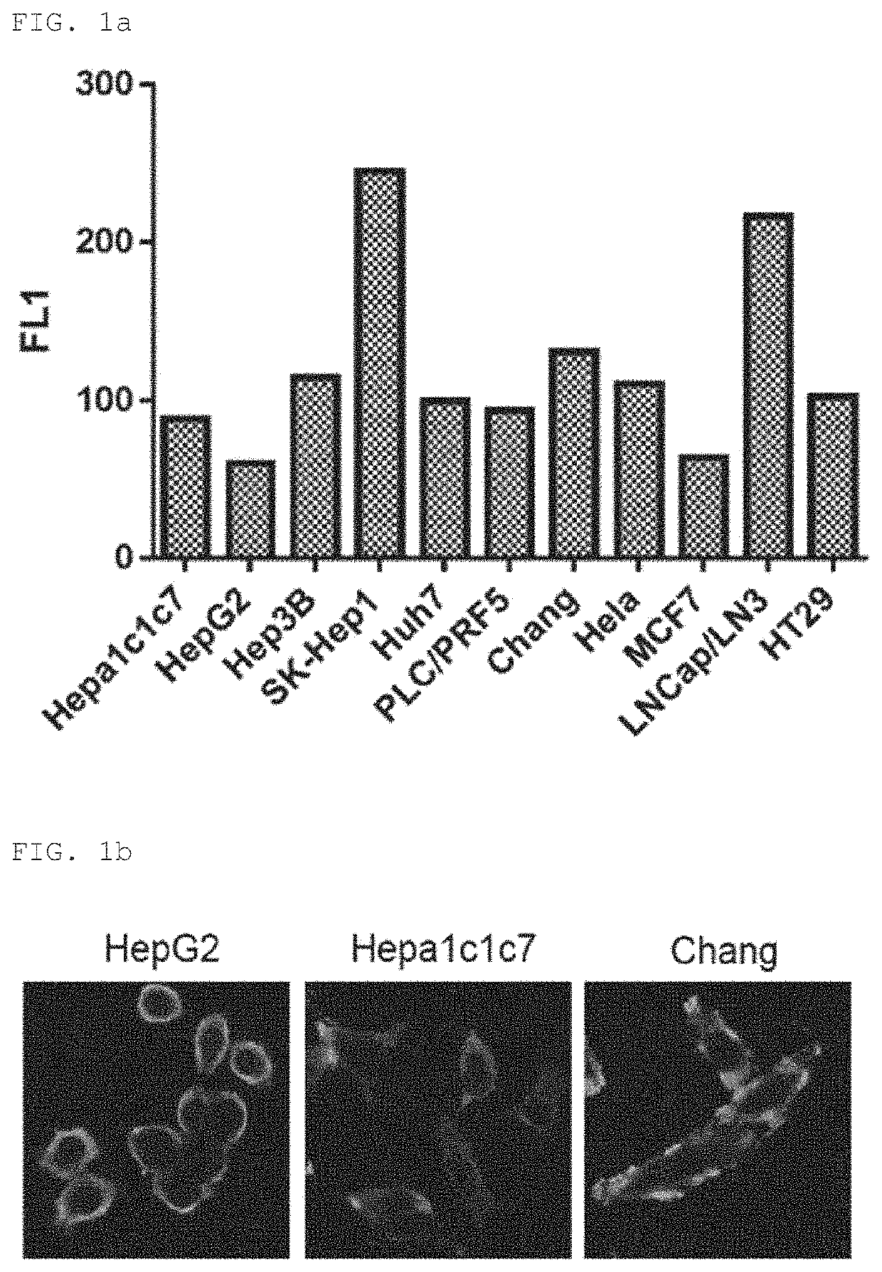 Antigenic composition for detecting auto-antibody with specific response to exosomal protein EIF3A, and method for diagnosing liver cancer using antigenic composition
