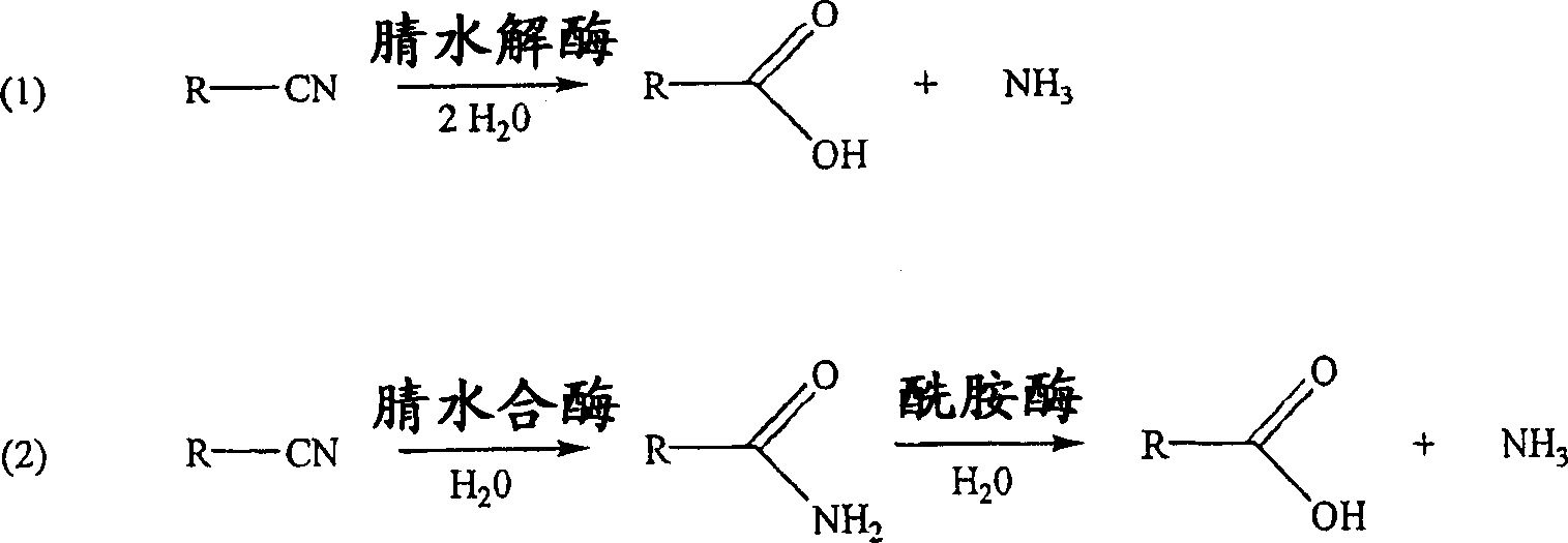 Method for producing 2-hydroxyisobutyric acid and methacrylic acid from acetone cyanohydrin