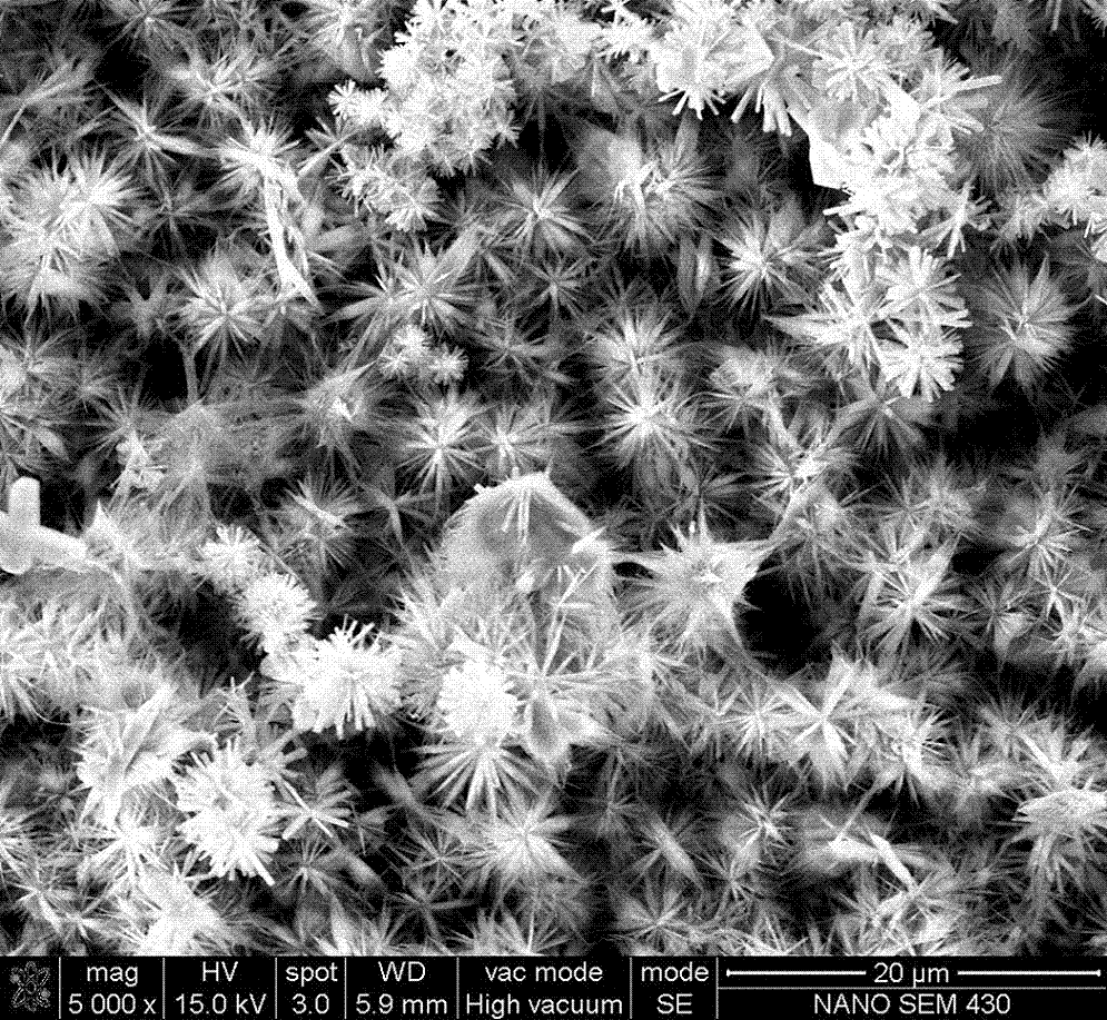 Preparation method and application of nitrogen-doped graphene/nitrogen-doped carbon nanotube/zinc cobaltate composite material