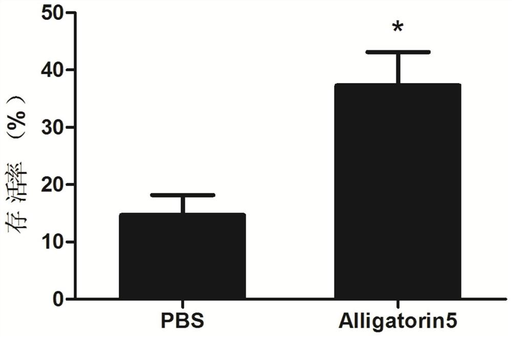 Application of natural host defense peptide alligatorin5