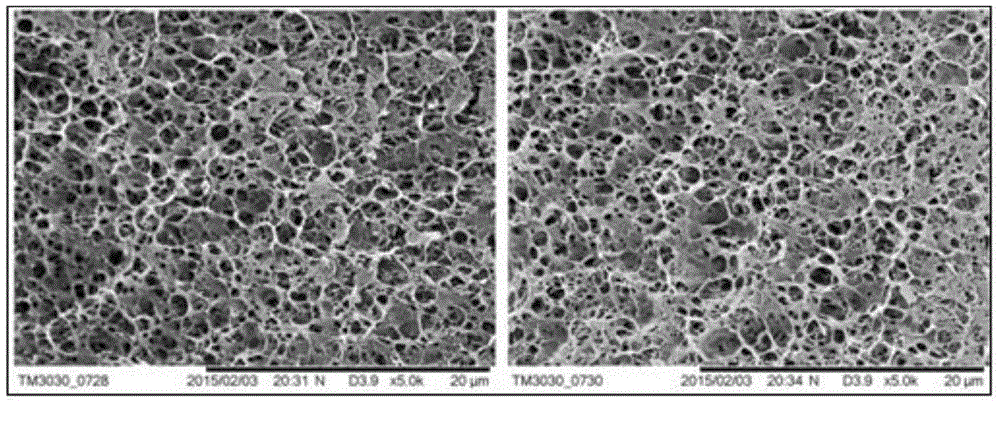 Composite chitosan and cellulose membrane and preparation method and application thereof