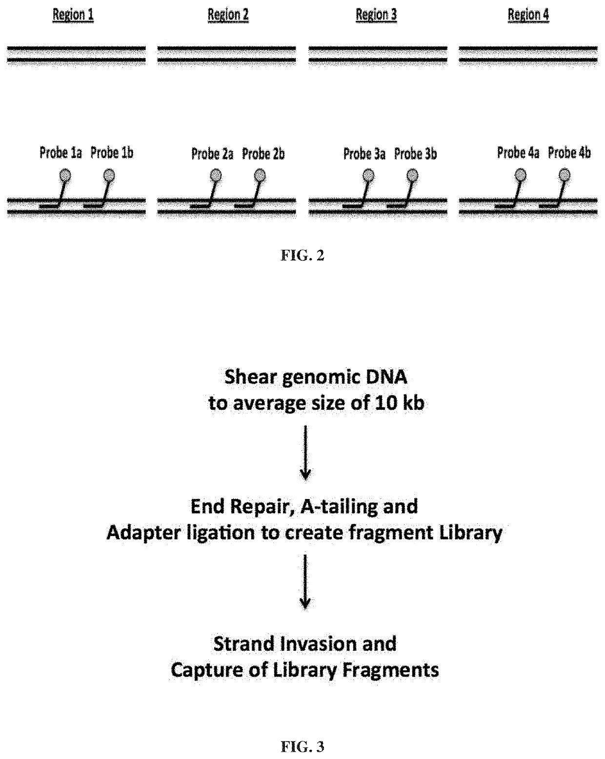 Methods and compositions for genomic target enrichment and selective DNA sequencing