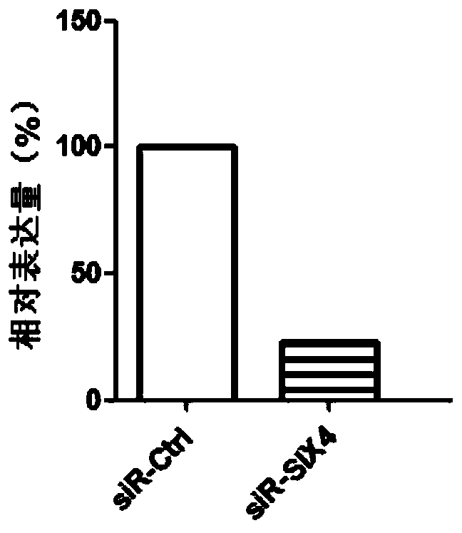 Related marker of oral squamous cell carcinoma metastatic potential and application of related marker