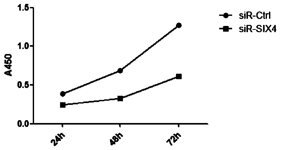 Related marker of oral squamous cell carcinoma metastatic potential and application of related marker