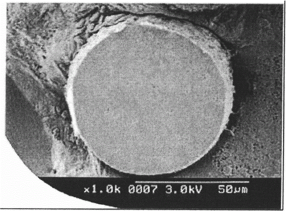 Method for making 1,1-difluoroethylene polymer