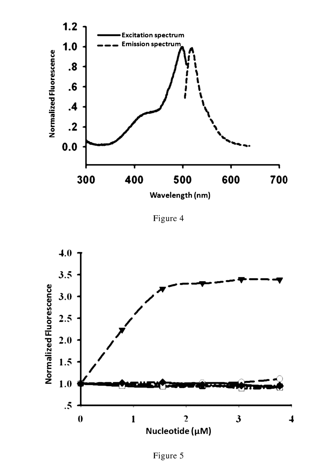 Nicotinamide adenine dinucleotide gene encoding fluorescent probe, preparation method therefor and application thereof