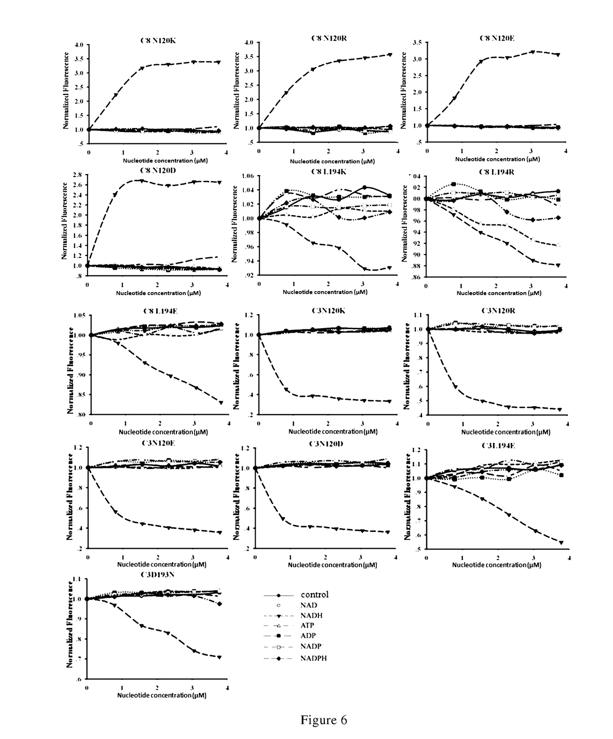 Nicotinamide adenine dinucleotide gene encoding fluorescent probe, preparation method therefor and application thereof