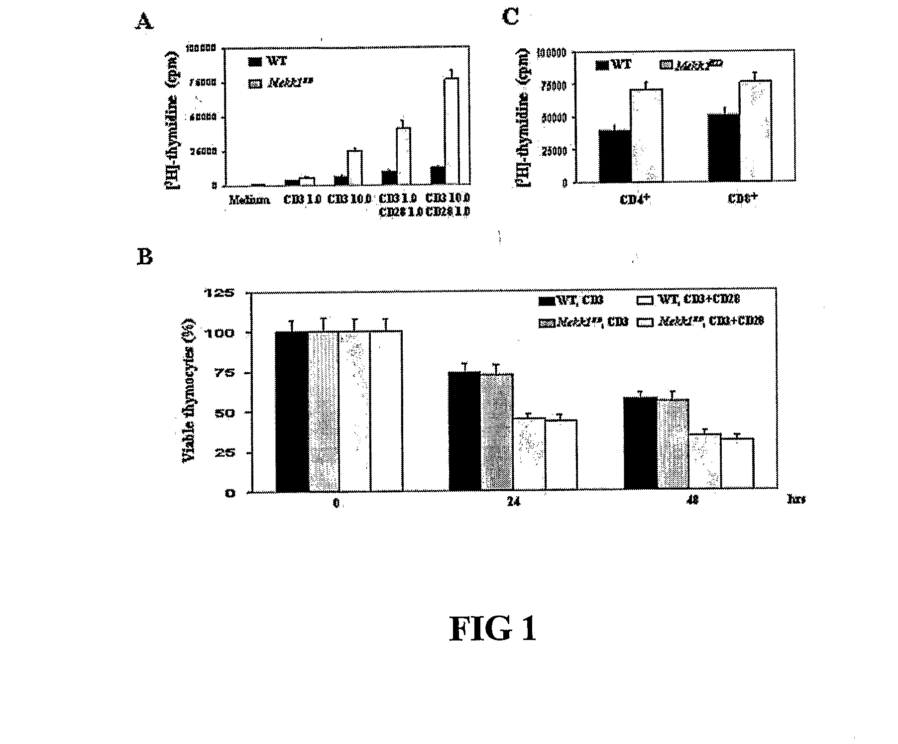 Enhancement of Th2-Dependent and Inflammatory Response