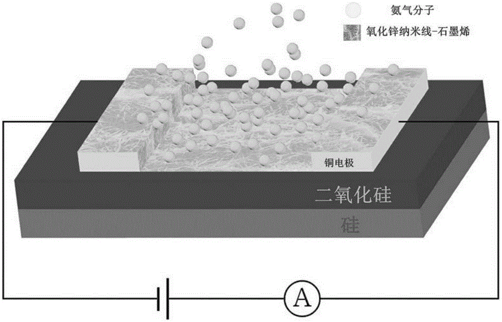 Zinc oxide nanowire-graphene gas sensor and preparation method thereof