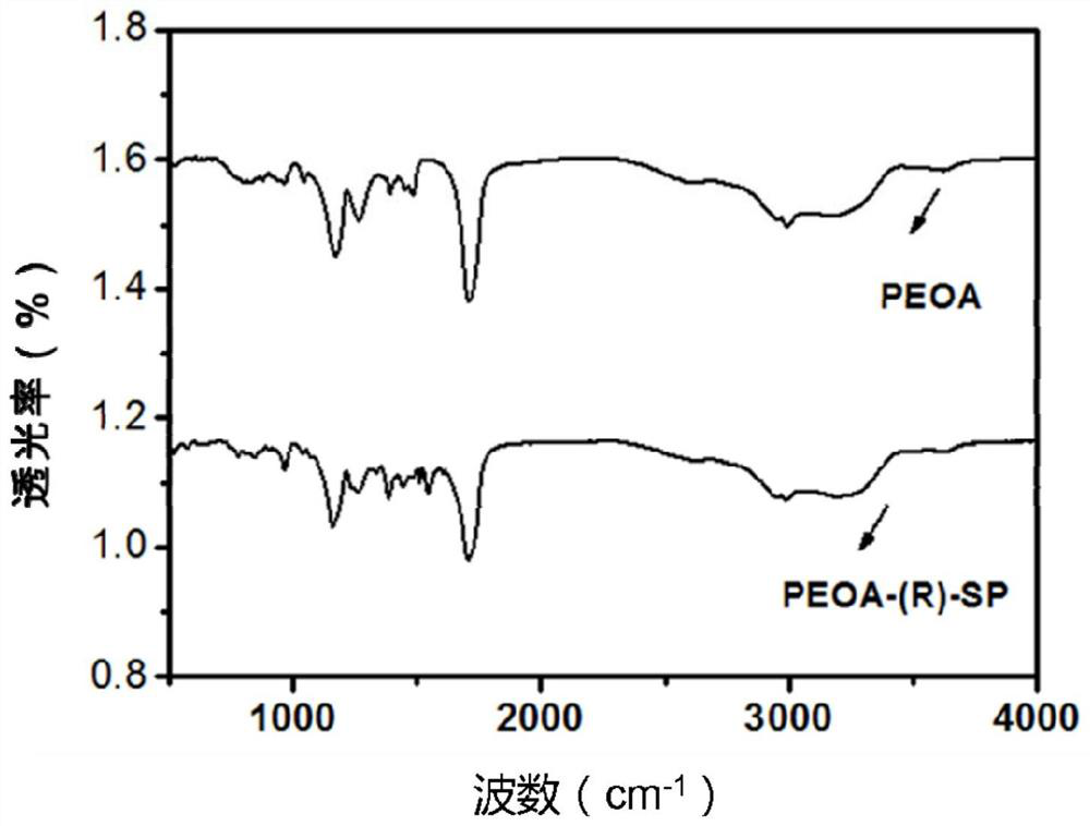 Hydrogel nanocarrier delivery system for targeting activated CD44 molecules, its preparation method and use