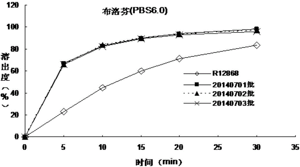 Allergy and congestion relief and preparation method thereof