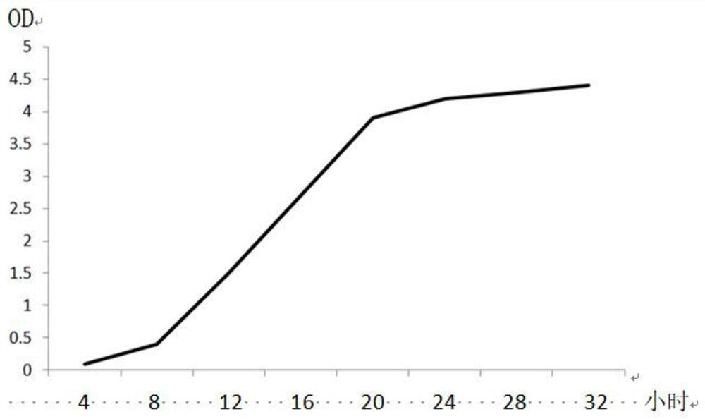 A strain of Bacillus licheniformis and its application