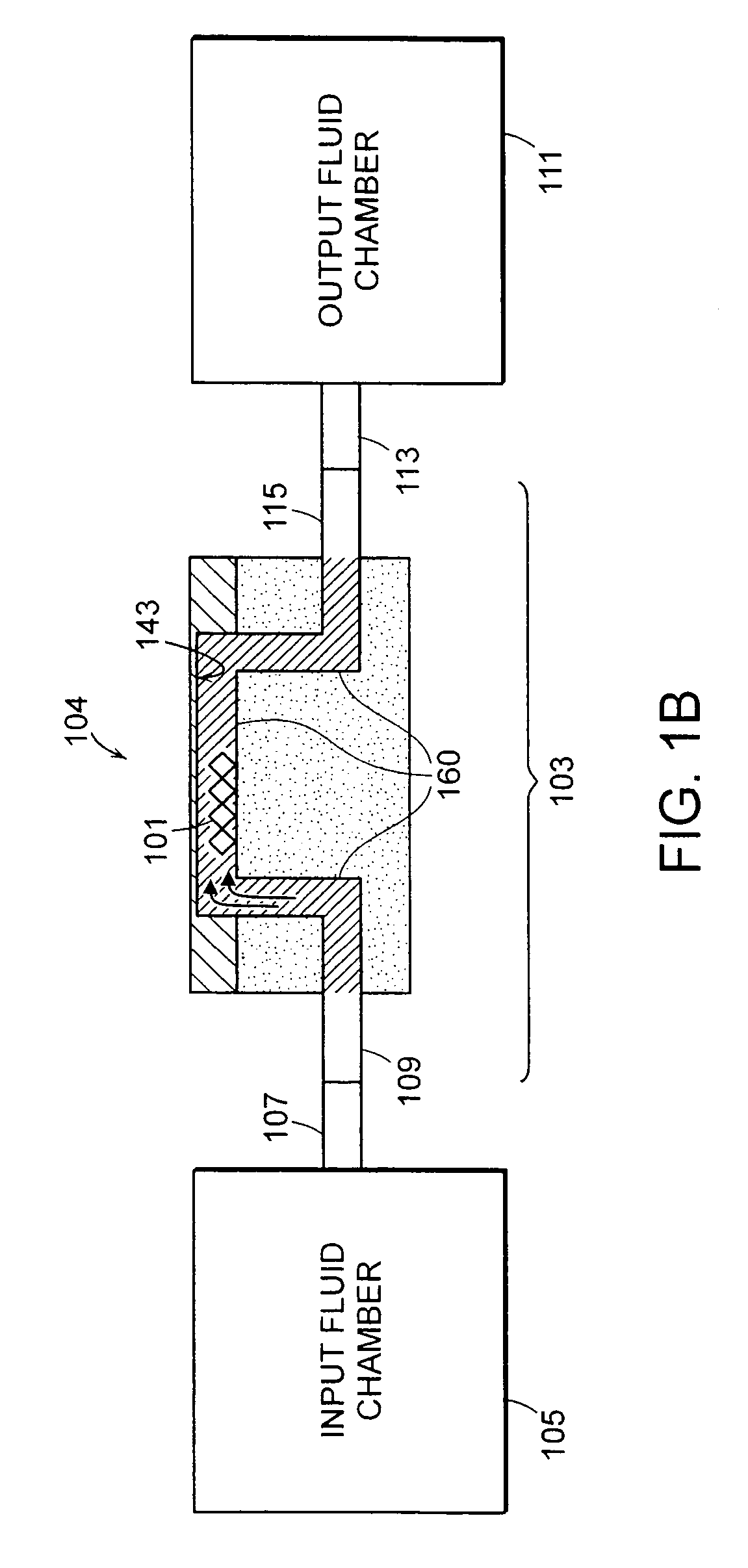 Method and apparatus for analyzing bioprocess fluids
