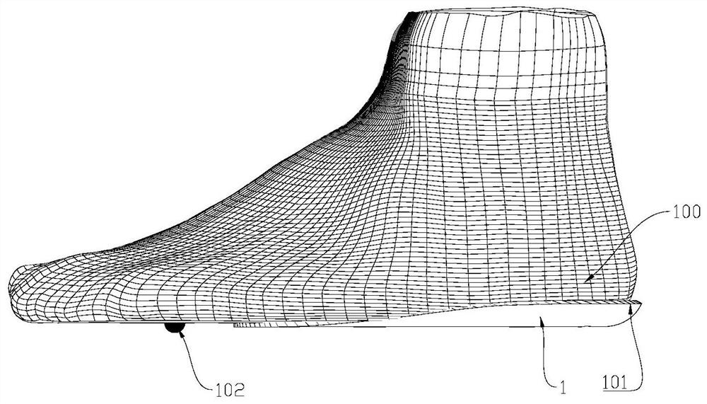 Method for obtaining customized insole, customized insole and customized shoe