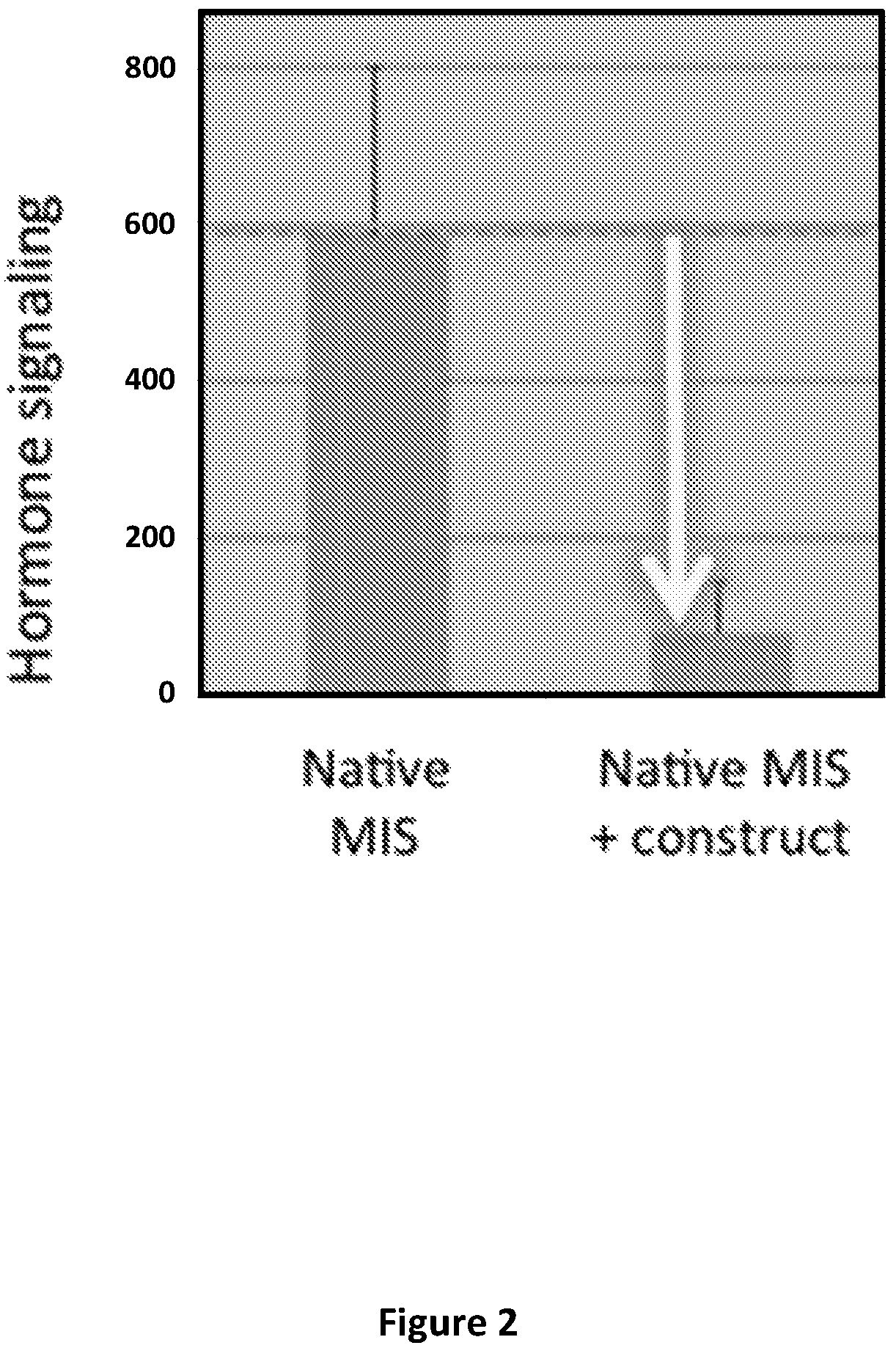 Chimera of bone morphogenic protein 2 and the Müllerian-inhibiting substance type II receptor binding region of Müllerian-inhibiting substance