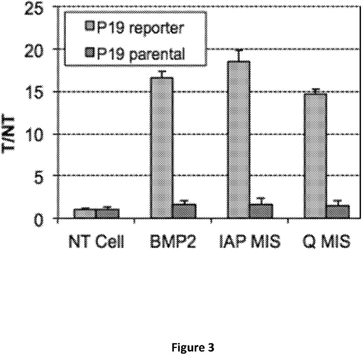 Chimera of bone morphogenic protein 2 and the Müllerian-inhibiting substance type II receptor binding region of Müllerian-inhibiting substance