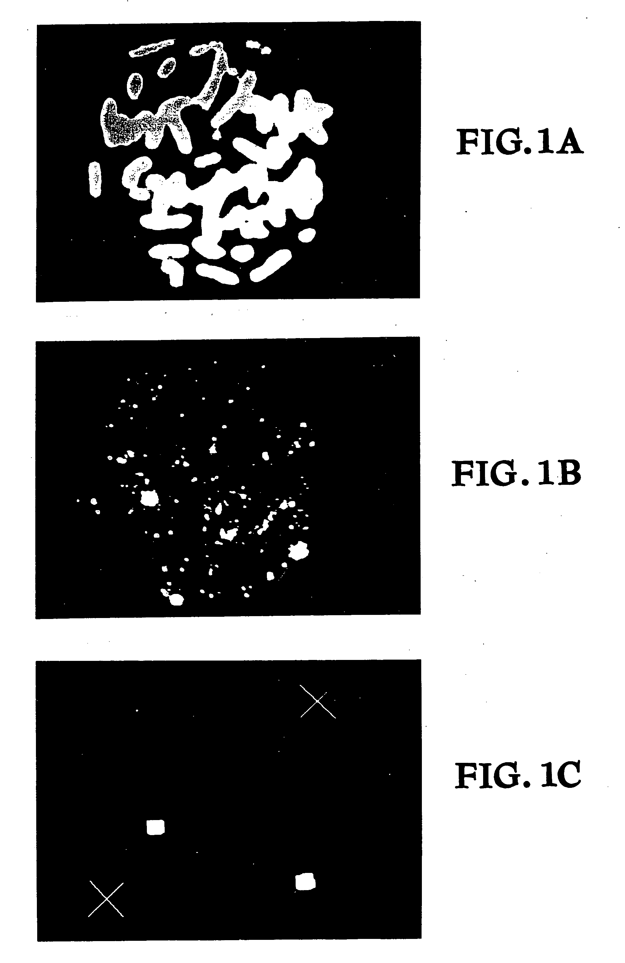 Methods and compositions for chromosome-specific staining