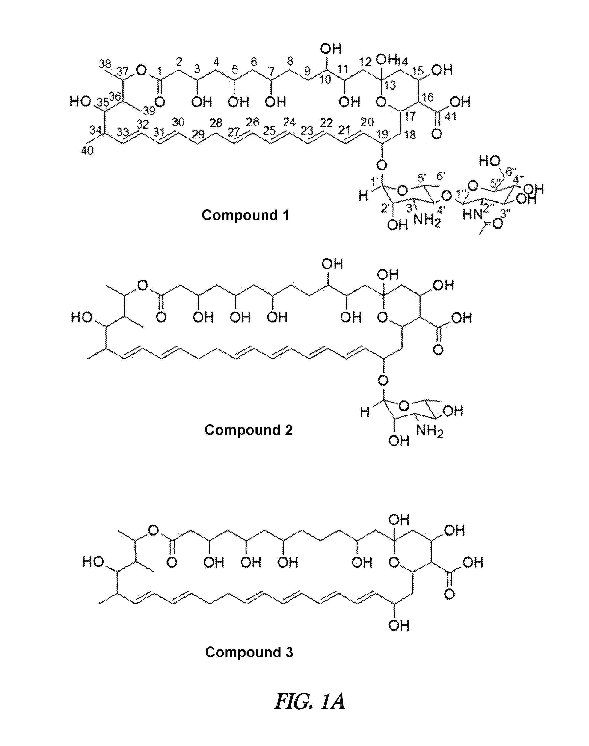 Novel polyene compound, method for preparing the same, and antifungal drug comprising novel polyene compound asactive ingredient