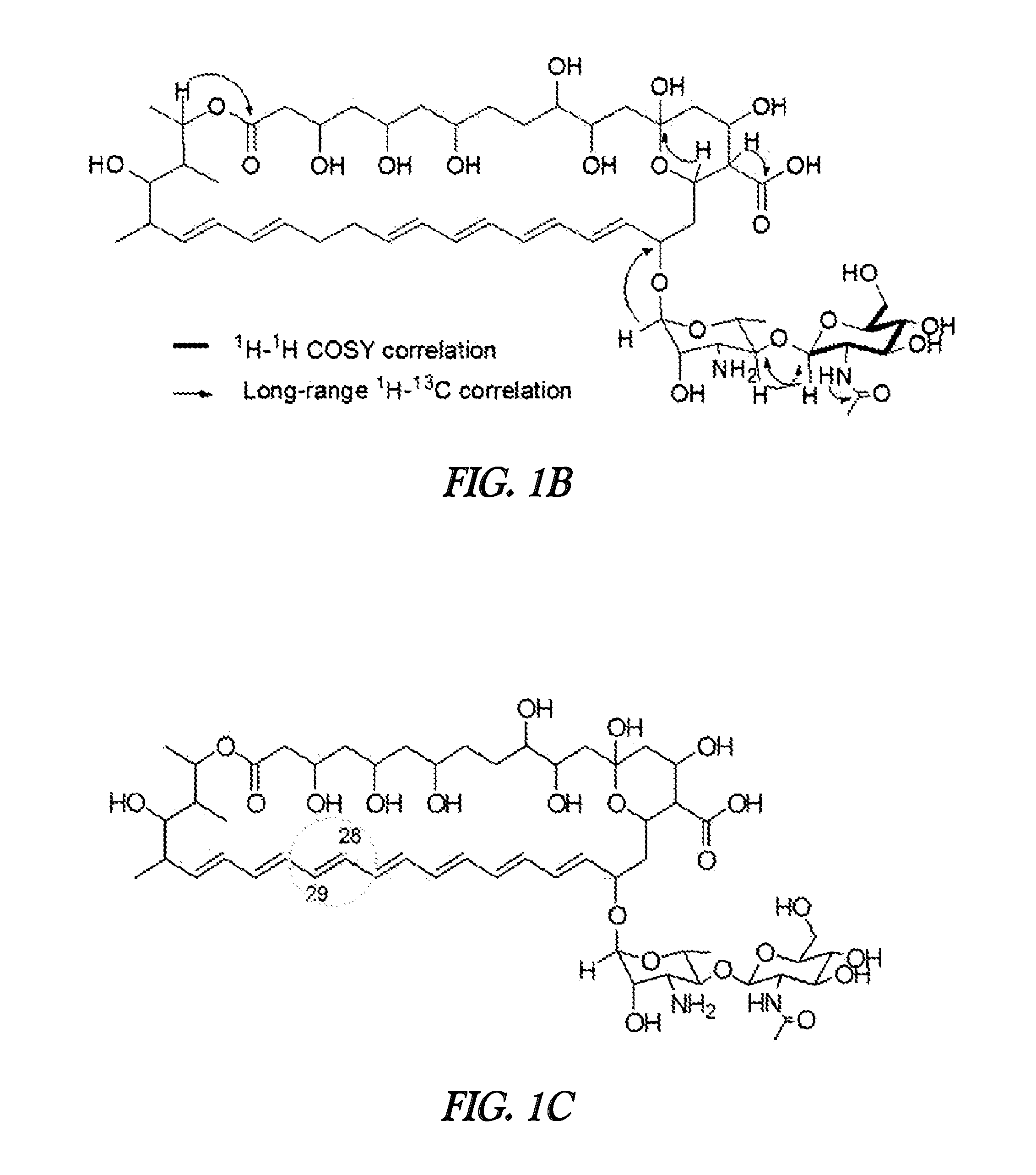 Novel polyene compound, method for preparing the same, and antifungal drug comprising novel polyene compound asactive ingredient