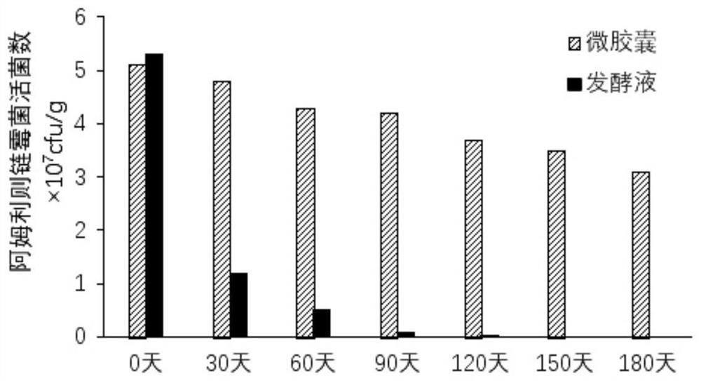 Functional vegetable seedling substrate containing biocontrol bacterium microcapsules as well as preparation method and application of functional vegetable seedling substrate