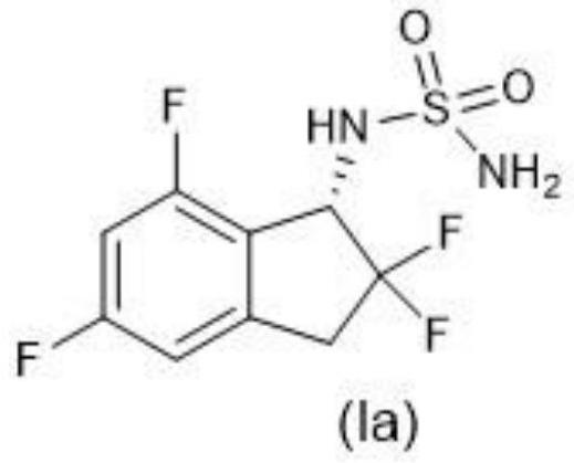 Epilepsy treatment agent