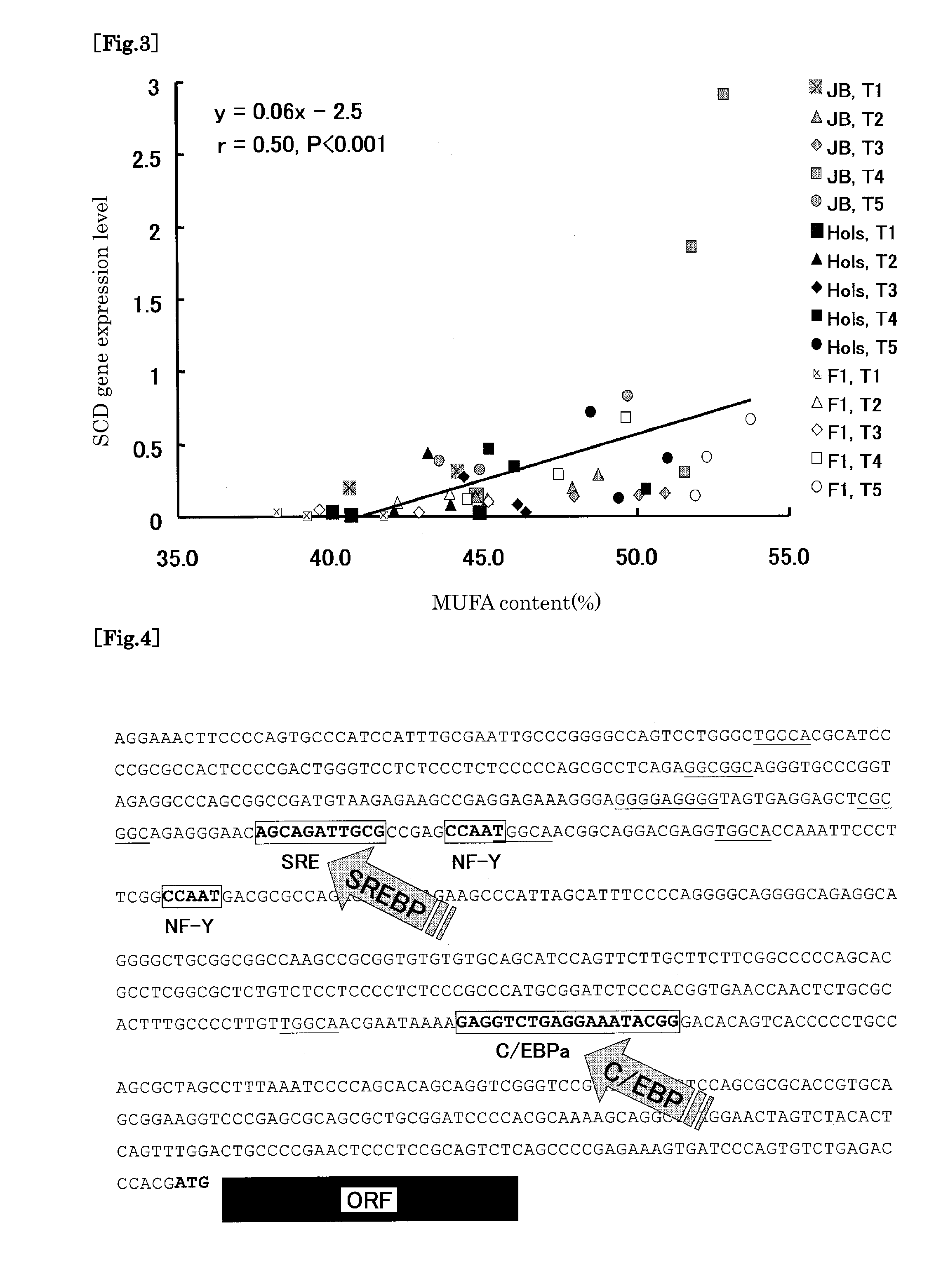 Method of Determining Gene Relating to Favorable Beef Taste and Texture