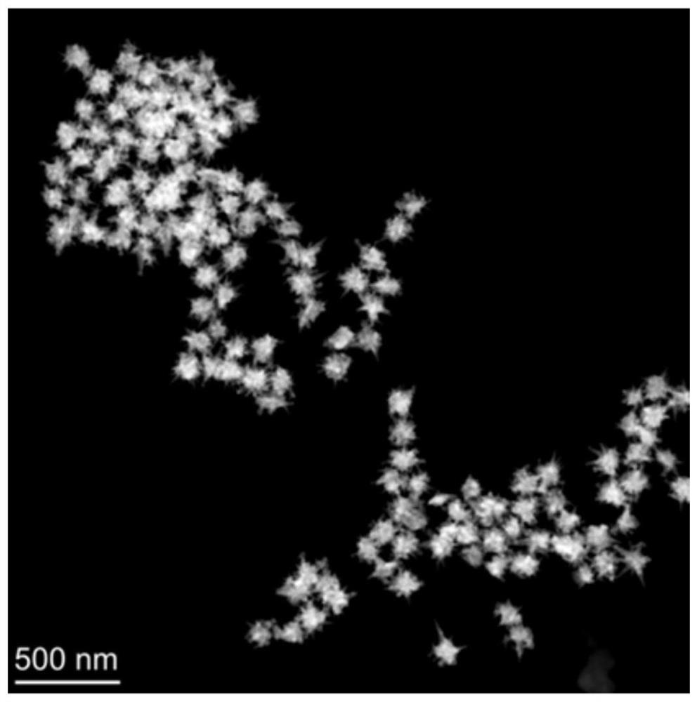 Method for preparing jellyfish-shaped gold-copper heterostructure material based on seed growth method