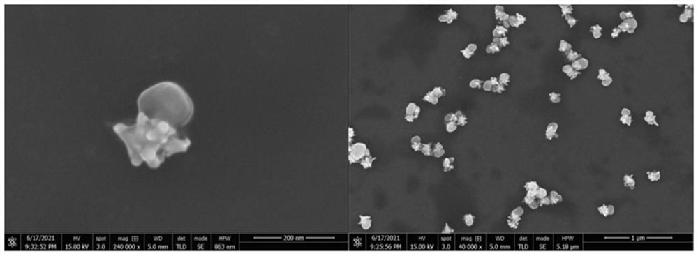 Method for preparing jellyfish-shaped gold-copper heterostructure material based on seed growth method