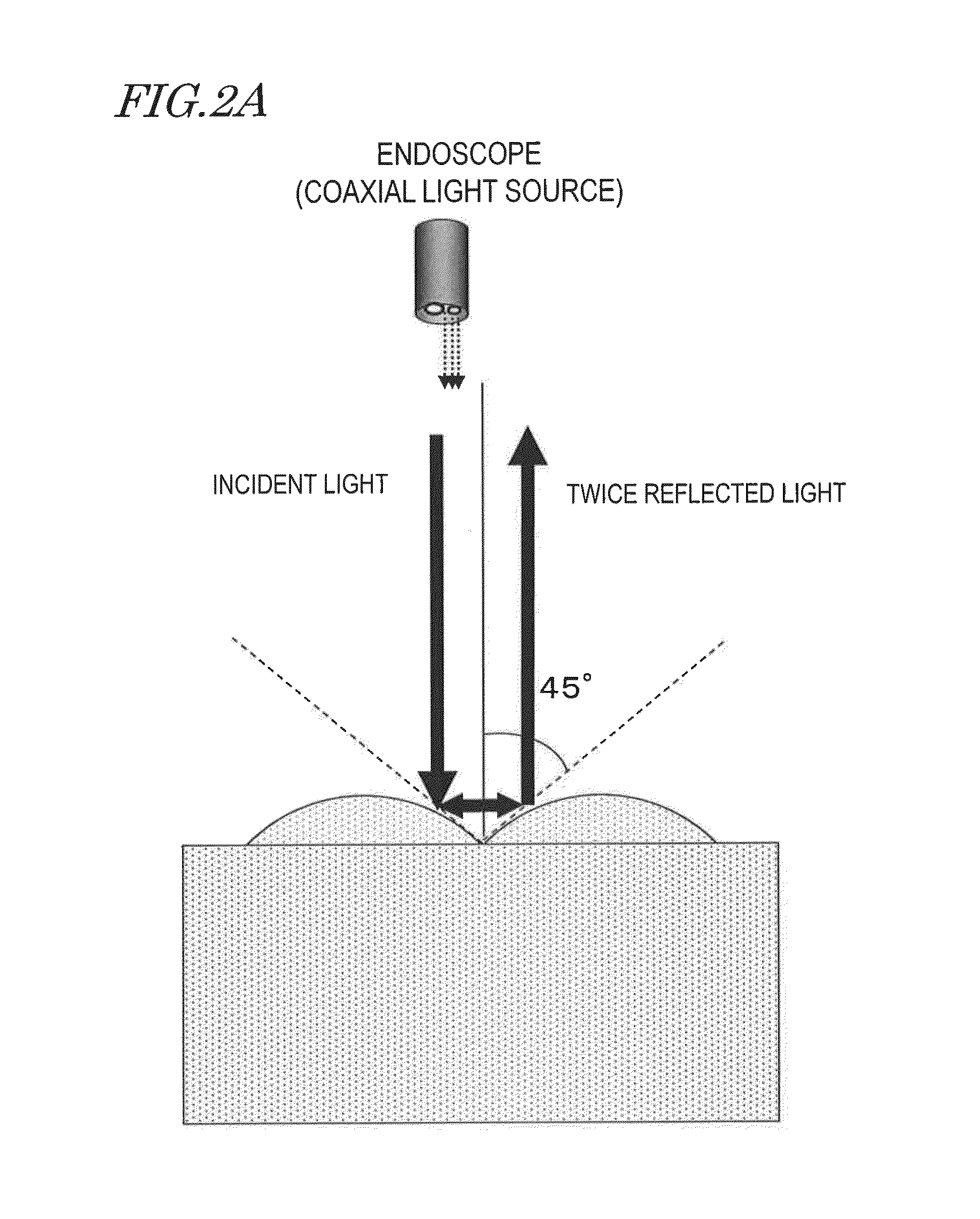 Imaging device and endoscope for detecting and displaying the shape of the micro-geometric texture of a transparent structure