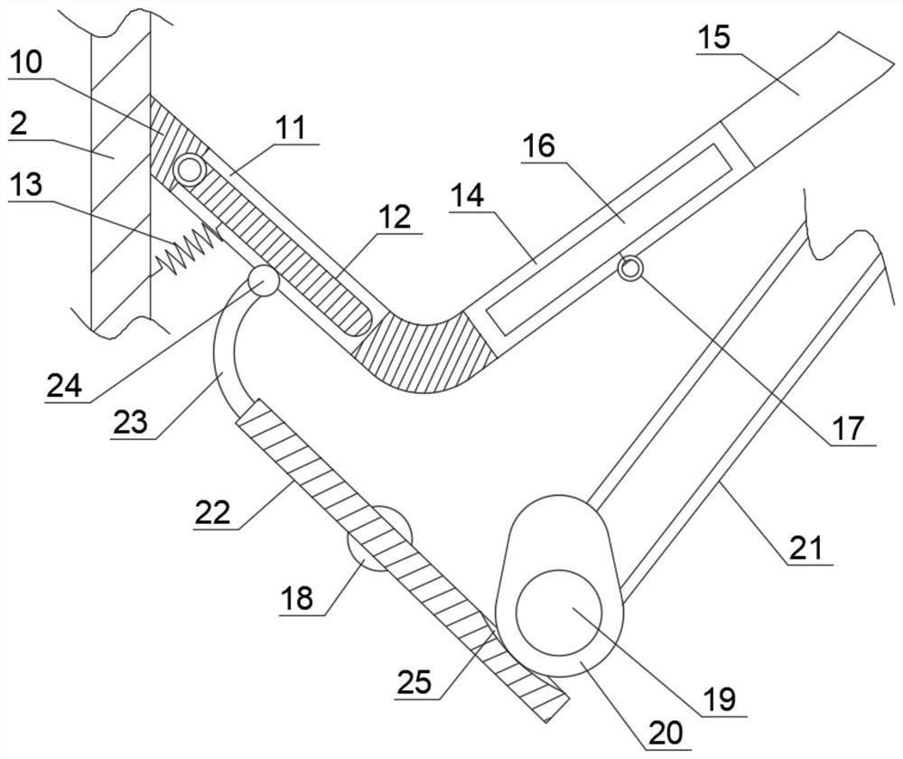 Fish ball packaging and feeding device