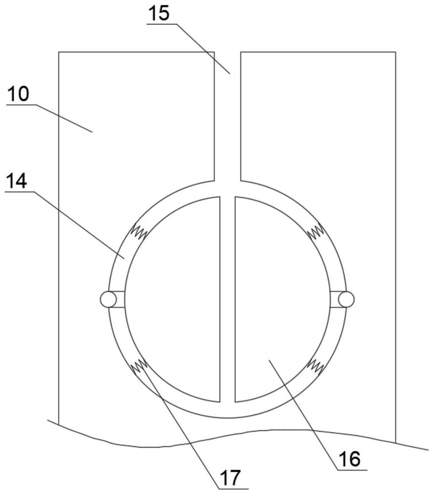 Fish ball packaging and feeding device