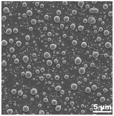 A preparation method of a surface-enhanced Raman scattering chip that can be used for trace detection, and the resulting product and application