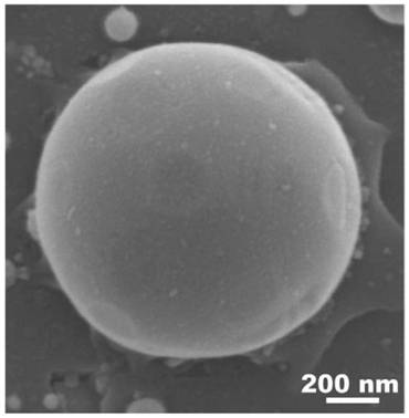 A preparation method of a surface-enhanced Raman scattering chip that can be used for trace detection, and the resulting product and application