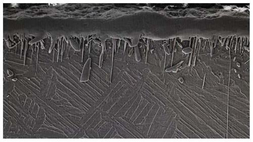 Biphase boron-titanium composite layer