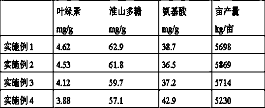 Planting method of high-quality Chinese yam