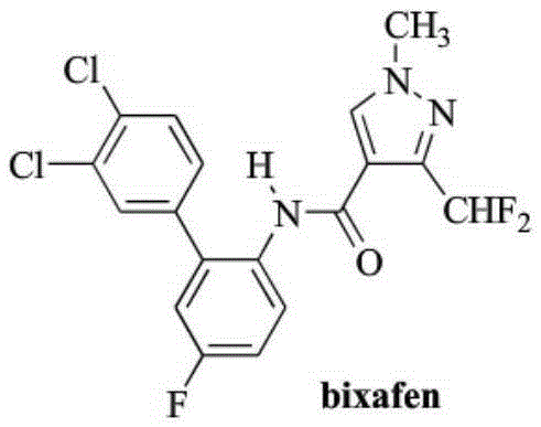 A compound synergistic bactericidal composition containing bixafen and difenoconazole and its application