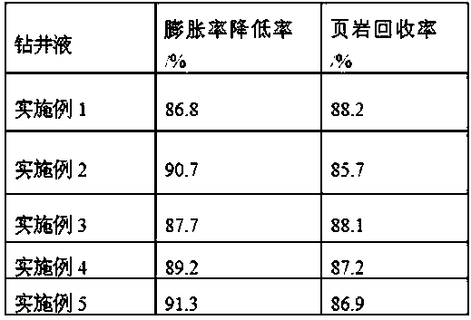 Water-based drilling fluid for low-temperature formation drilling