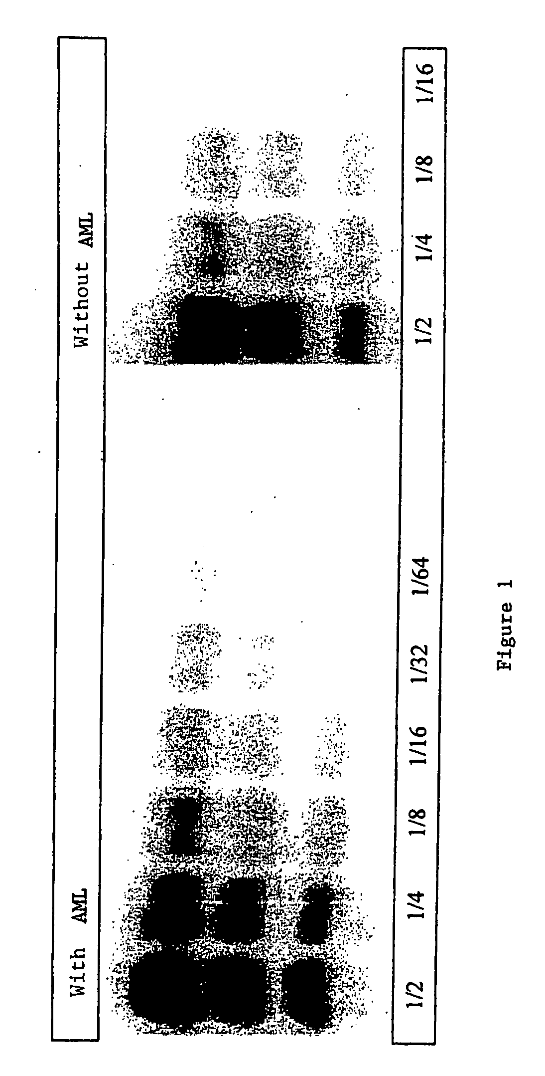 Process for detecting PrP using a macrocyclic adjuvant ligand
